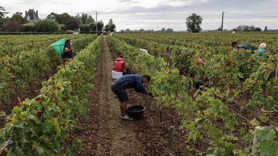فرنسا تطلب عمالًا فلاحيين مغاربة برواتب تصل إلى 1800 يورو شهريًا