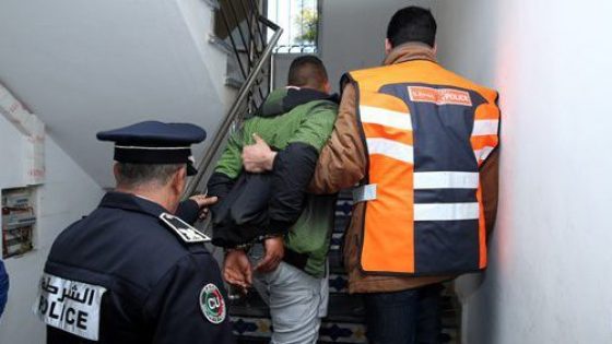 CREATOR: gd-jpeg v1.0 (using IJG JPEG v80), quality = 82