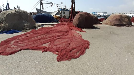 كتابة الدولة للصيد البحري تدعو لتيسير مهمة فرق البحث في الشباك المستعملة بصيد الأسماك السطحية