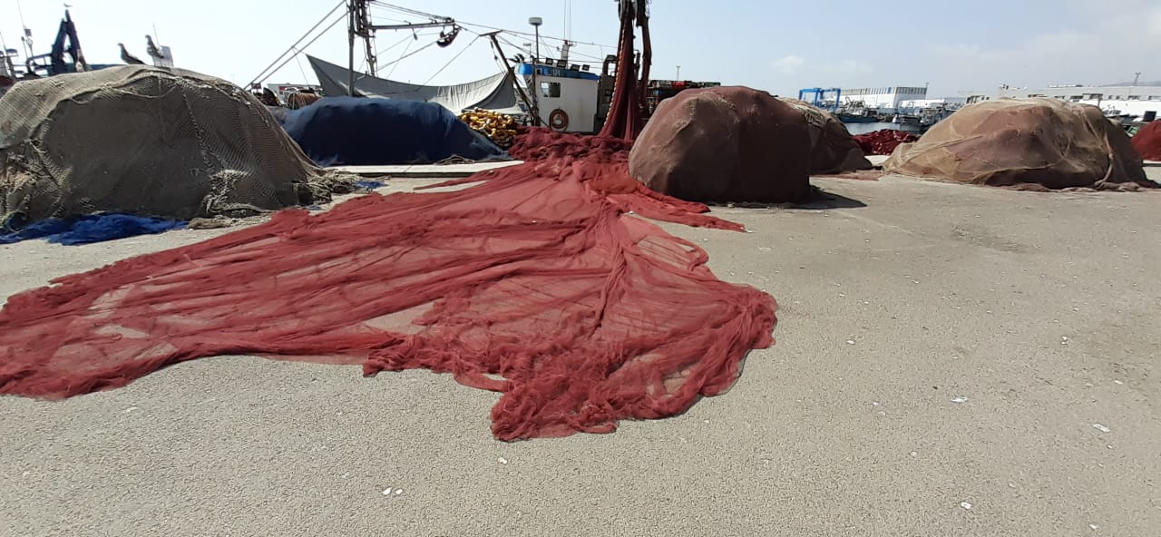 كتابة الدولة للصيد البحري تدعو لتيسير مهمة فرق البحث في الشباك المستعملة بصيد الأسماك السطحية