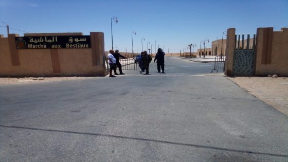 العيون: السلطات المحلية تُنفذ حملة لمنع تسويق الأضاحي تنفيذاً للتوجيهات الملكية بإلغاء عيد الأضحى