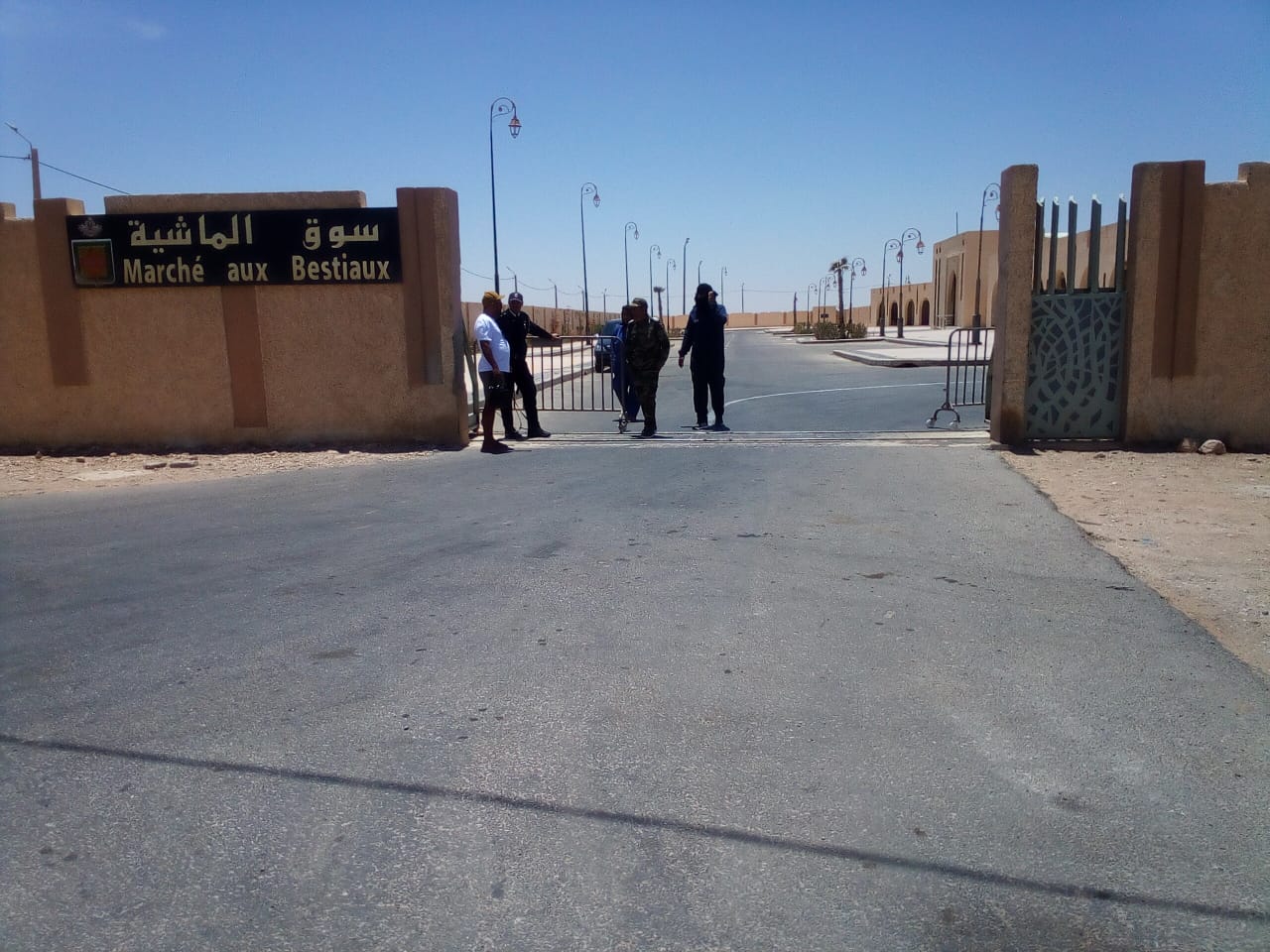 العيون: السلطات المحلية تُنفذ حملة لمنع تسويق الأضاحي تنفيذاً للتوجيهات الملكية بإلغاء عيد الأضحى