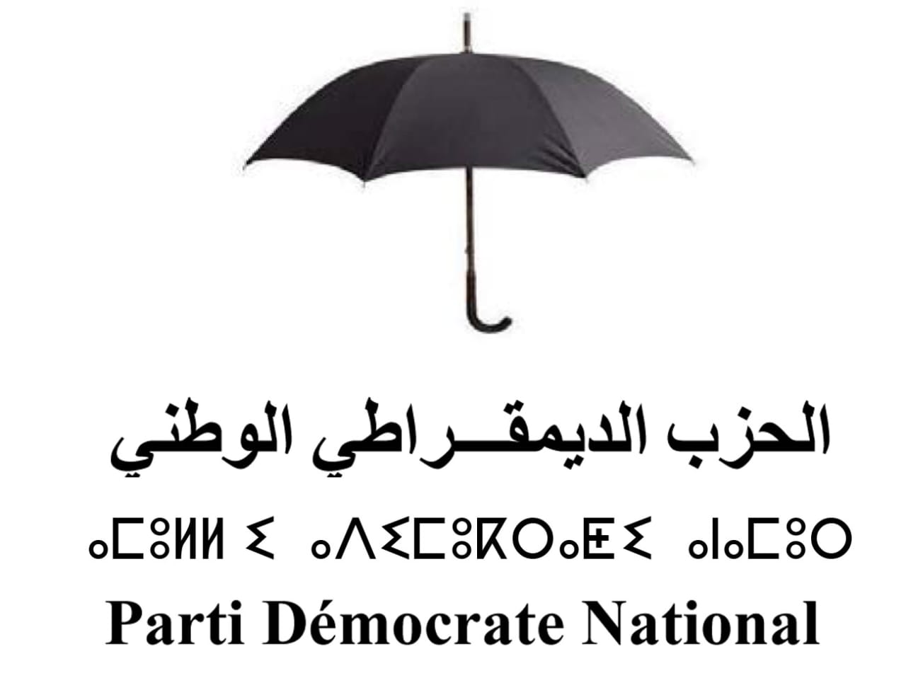 الحزب الديمقراطي الوطني بالعيون تعقد يؤكد التزامه بقضايا التنمية والإنفتاح على المواطنين
