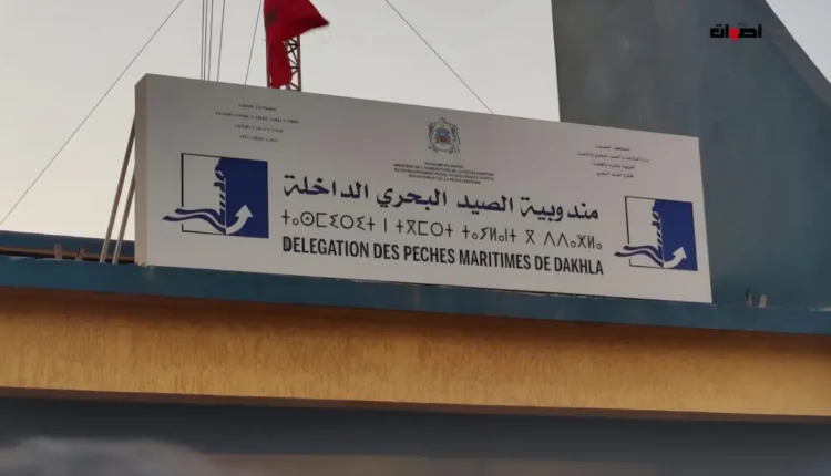 إجراءات تأديبية صارمة ضد سفينة صيد بالداخلة بعد ارتكاب خروقات بيئية خطيرة