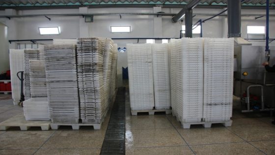 تجار السمك بالجملة يطالبون بوقف نظام الصناديق البلاستيكية وضمان العدالة في ولوج الثروة السمكية