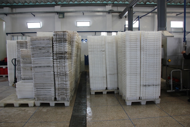 تجار السمك بالجملة يطالبون بوقف نظام الصناديق البلاستيكية وضمان العدالة في ولوج الثروة السمكية