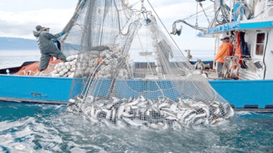 وزارة الفلاحة تقرر إغلاق منطقة صخرية قبالة ميناء الداخلة لحماية الموارد البحرية