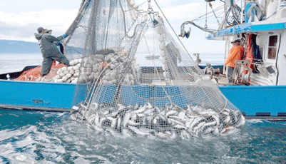 وزارة الفلاحة تقرر إغلاق منطقة صخرية قبالة ميناء الداخلة لحماية الموارد البحرية