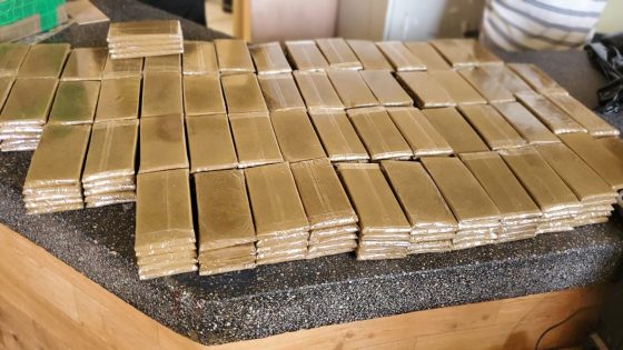 الداخلة.. توقيف مروج مخدرات وحجز أزيد من 70 كيلوغراماً من الشيرا والكيف والتبغ الخام