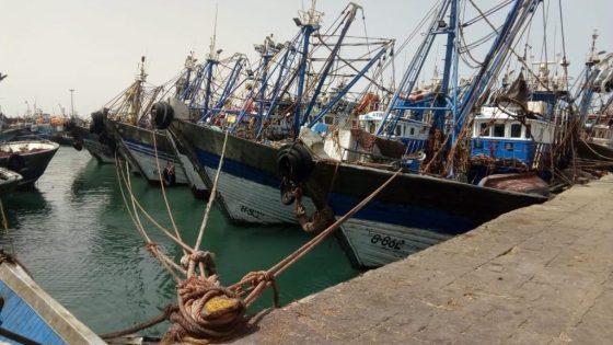 توقيف شخص بالداخلة وحجز أكثر من طن من الأسماك مجهولة المصدر