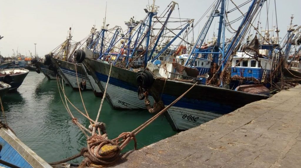 توقيف شخص بالداخلة وحجز أكثر من طن من الأسماك مجهولة المصدر