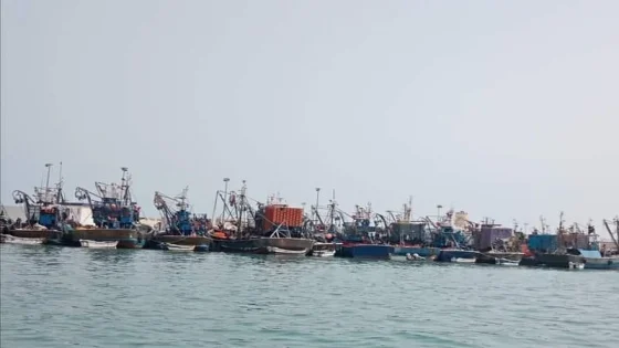 مندوبية الصيد البحري ببوجدور تمنع رحلات الصيد بسبب سوء الأحوال الجوية