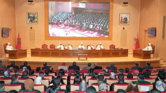 جلالة الملك يتفضل بتعيين 24 ملحقًا قضائيًا قضاة من الدرجة الثانية بالمحاكم المالية