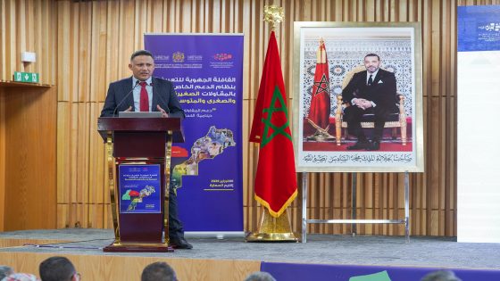 جعيفر يبرز آليات دعم المقاولات ومساطر الاستفادة بجهة العيون الساقية الحمراء